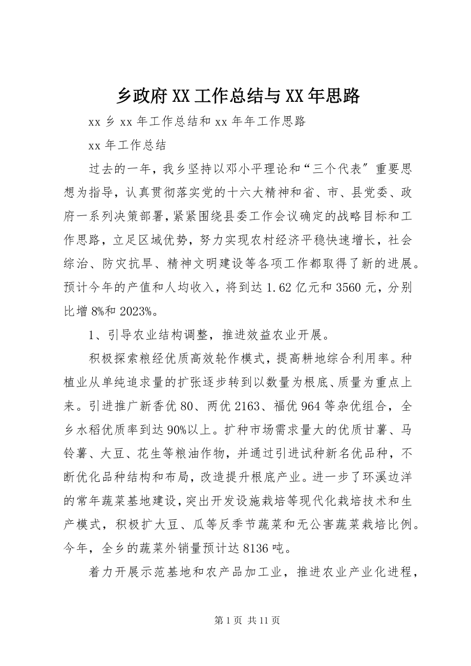 2023年乡政府XX工作总结与思路.docx_第1页