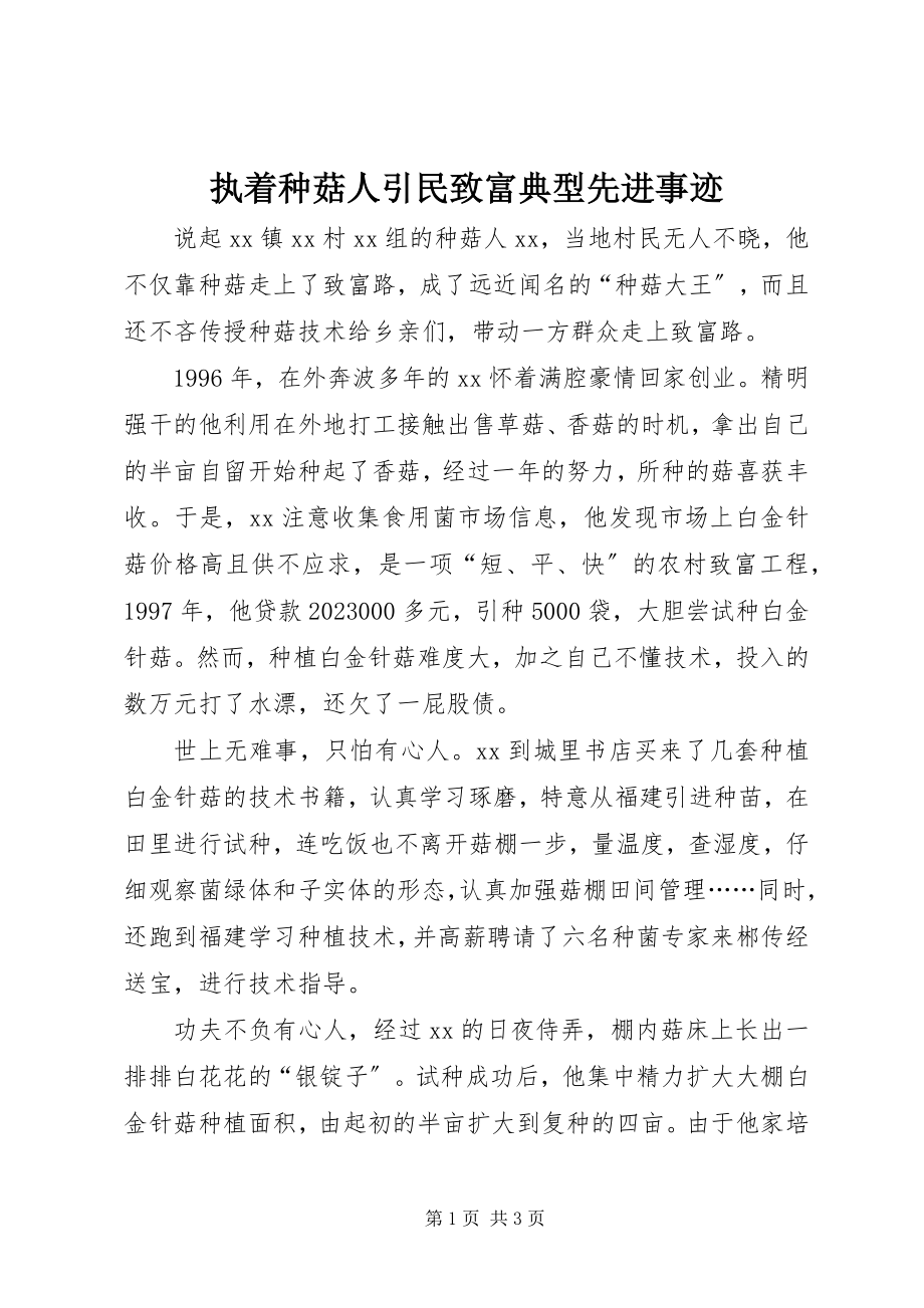 2023年执着种菇人引民致富典型先进事迹.docx_第1页