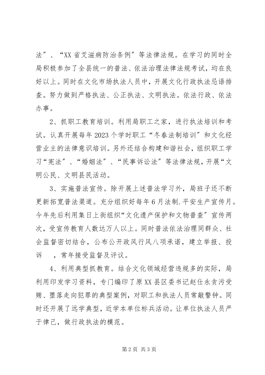 2023年文化局普法治理年终工作总结.docx_第2页