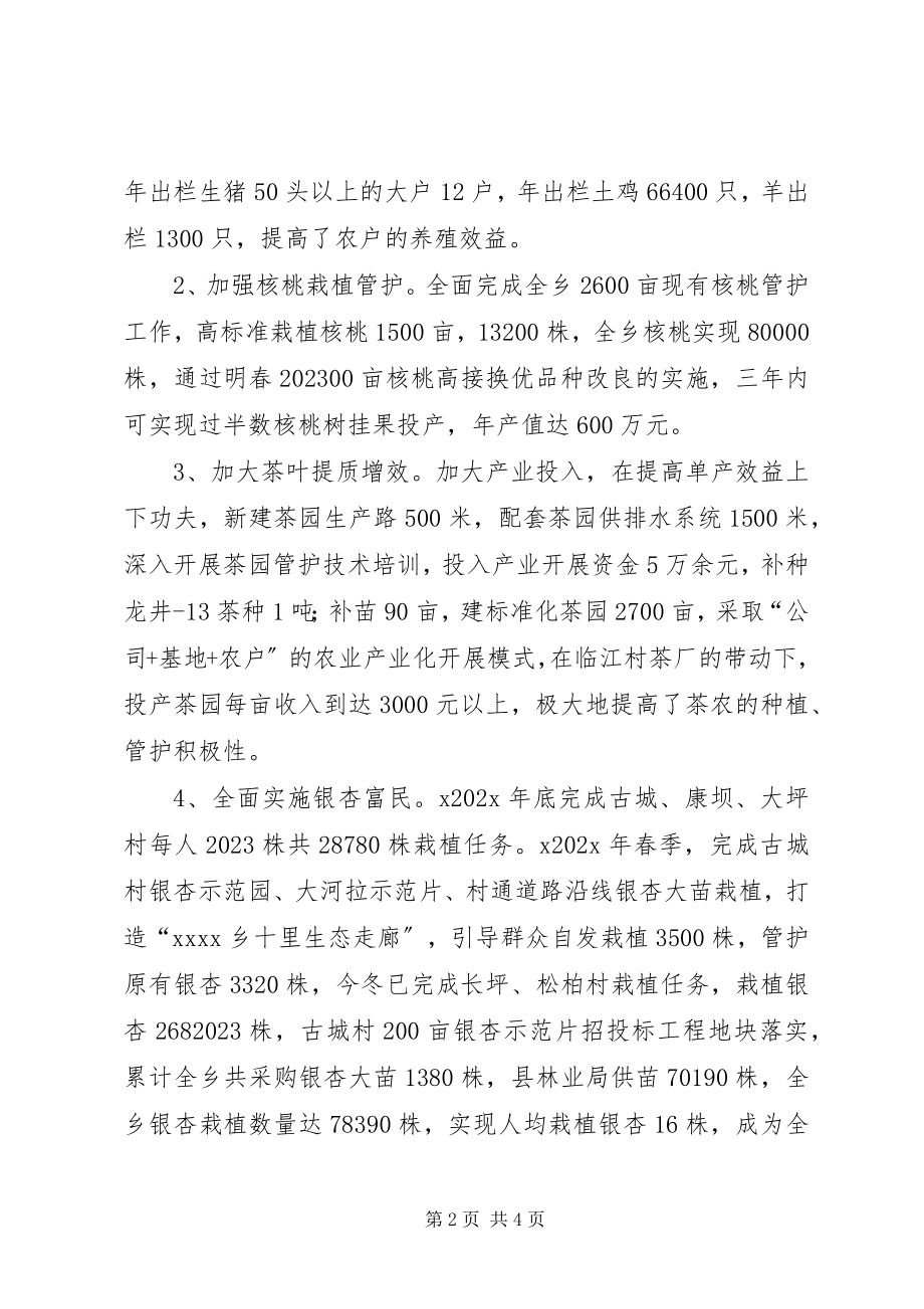 2023年乡政府年终工作总结.docx_第2页