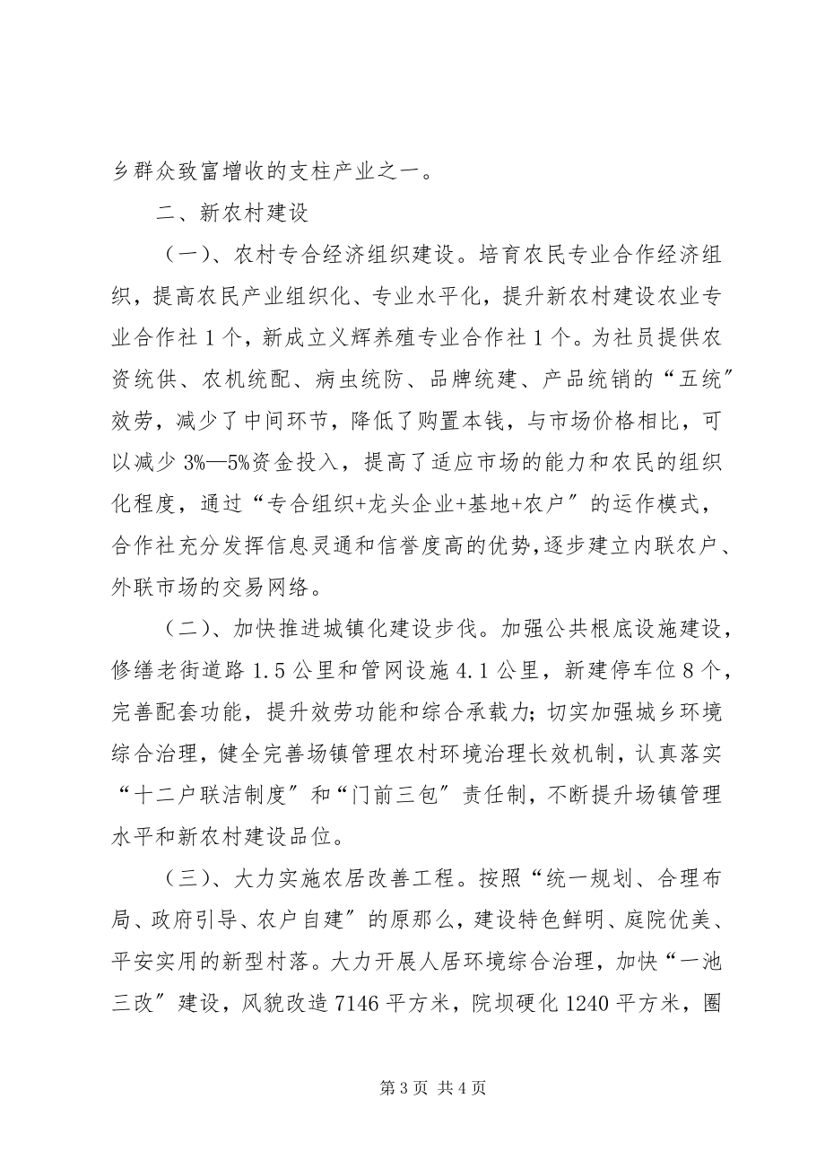 2023年乡政府年终工作总结.docx_第3页