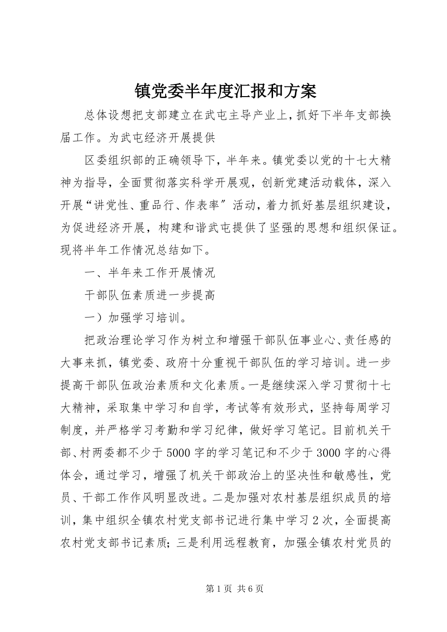 2023年镇党委半年度汇报和计划.docx_第1页