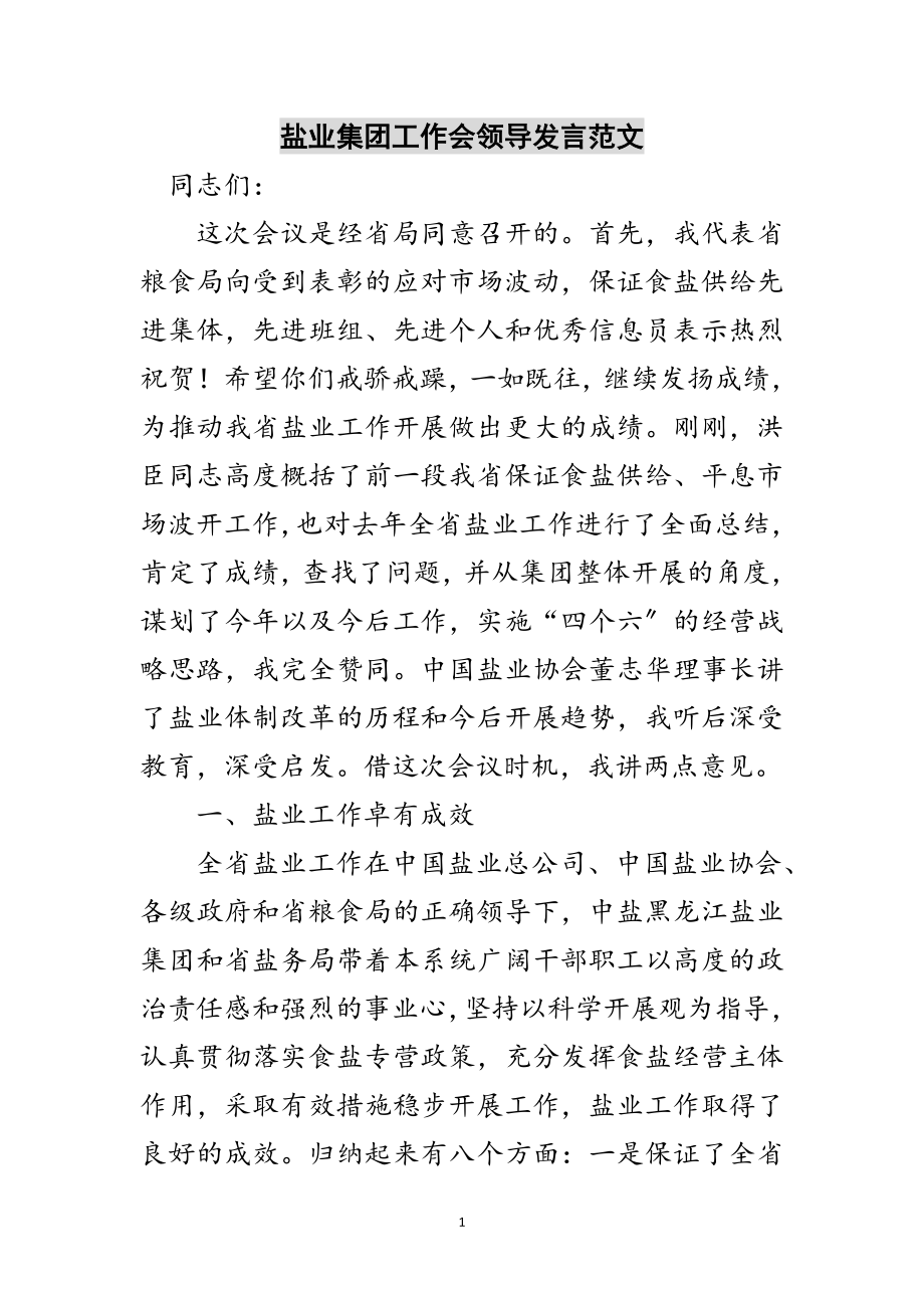 2023年盐业集团工作会领导发言范文范文.doc_第1页