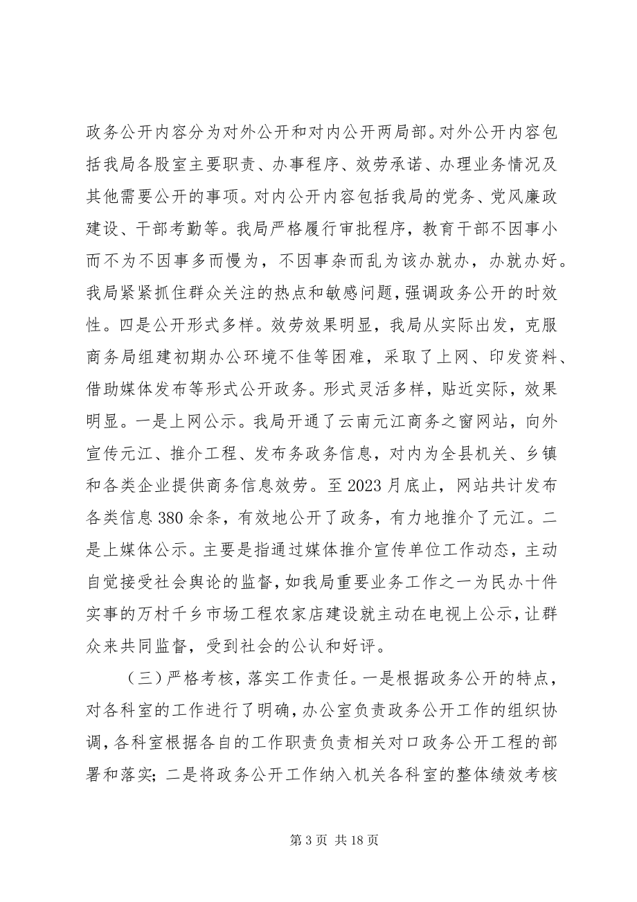 2023年政务工作总结4篇.docx_第3页