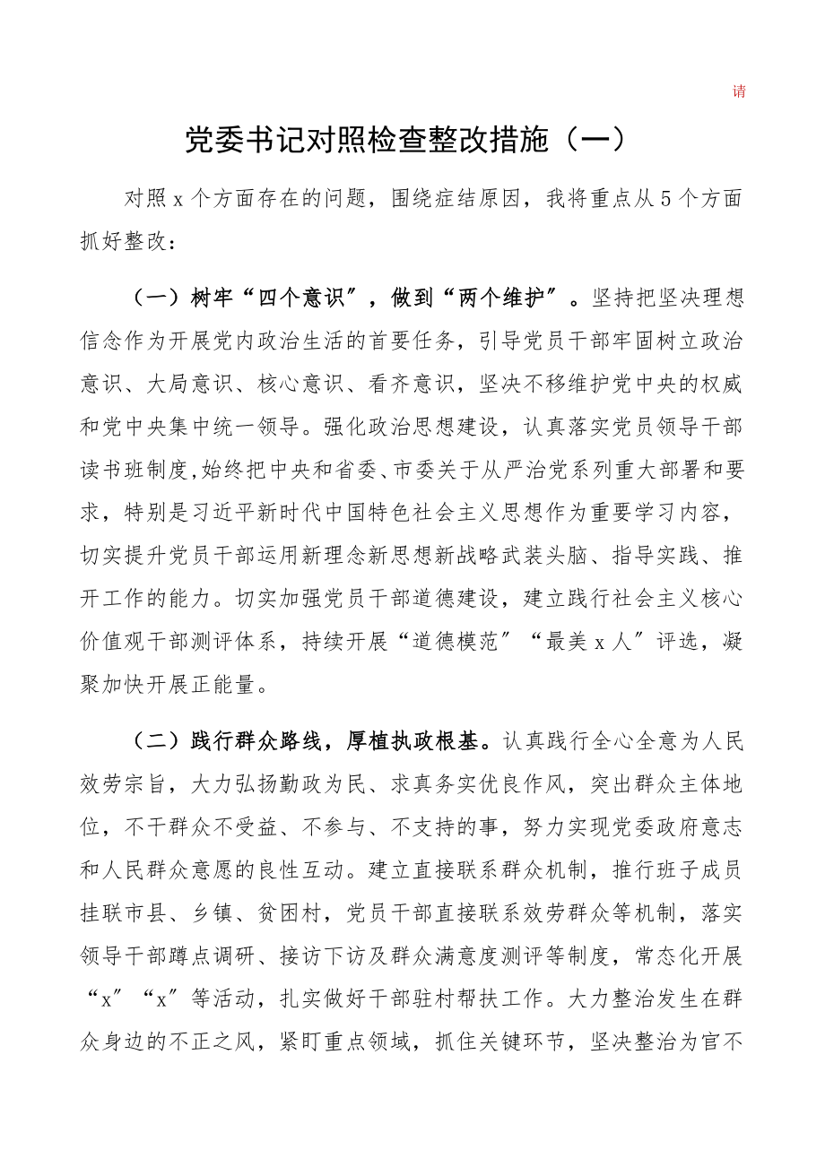 2023年党委书记对照检查整改措施精编.docx_第1页