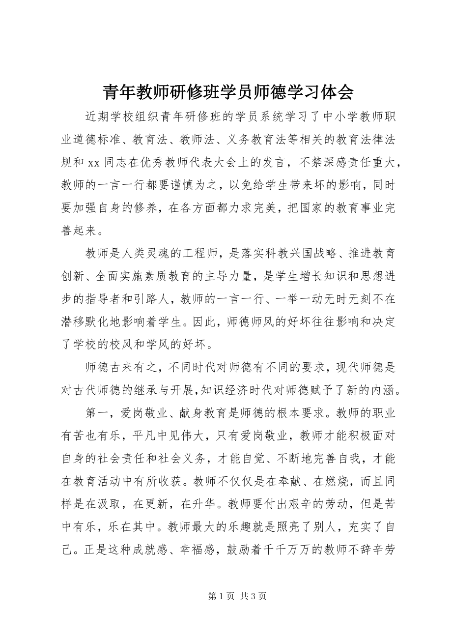 2023年青年教师研修班学员师德学习体会.docx_第1页