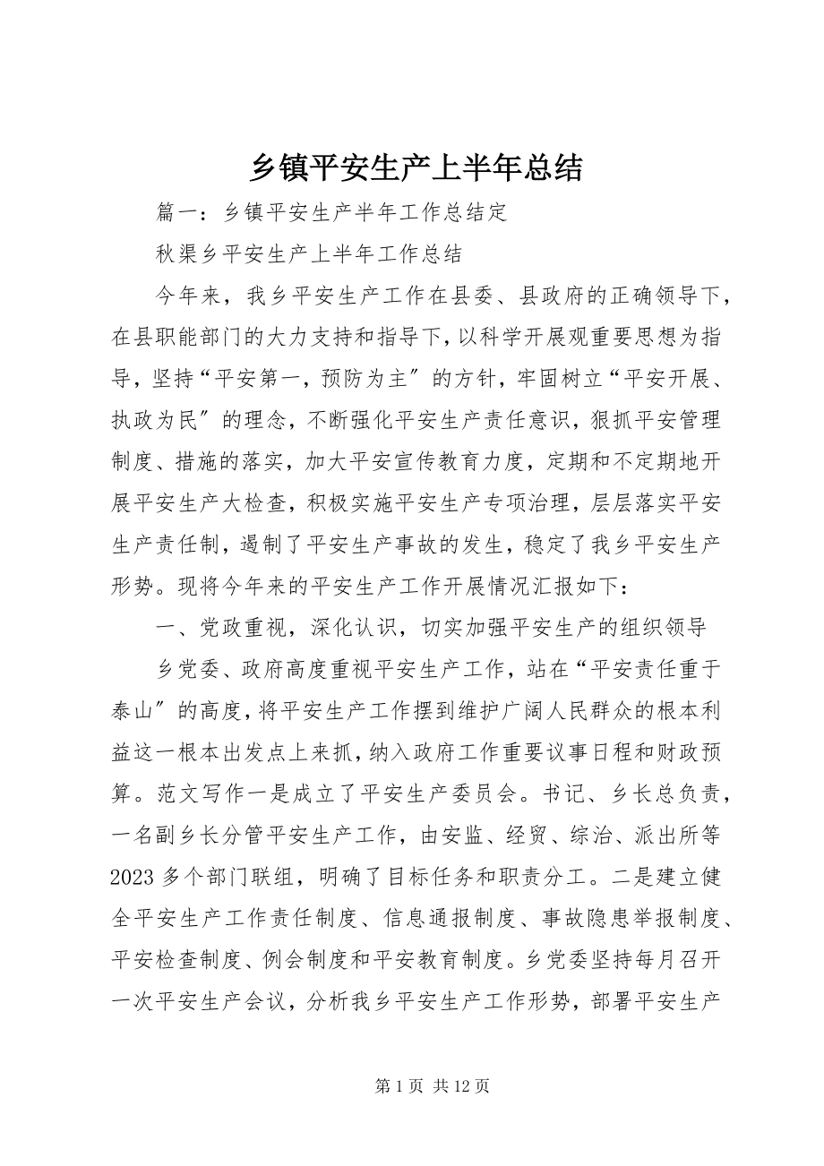 2023年乡镇安全生产上半年总结.docx_第1页