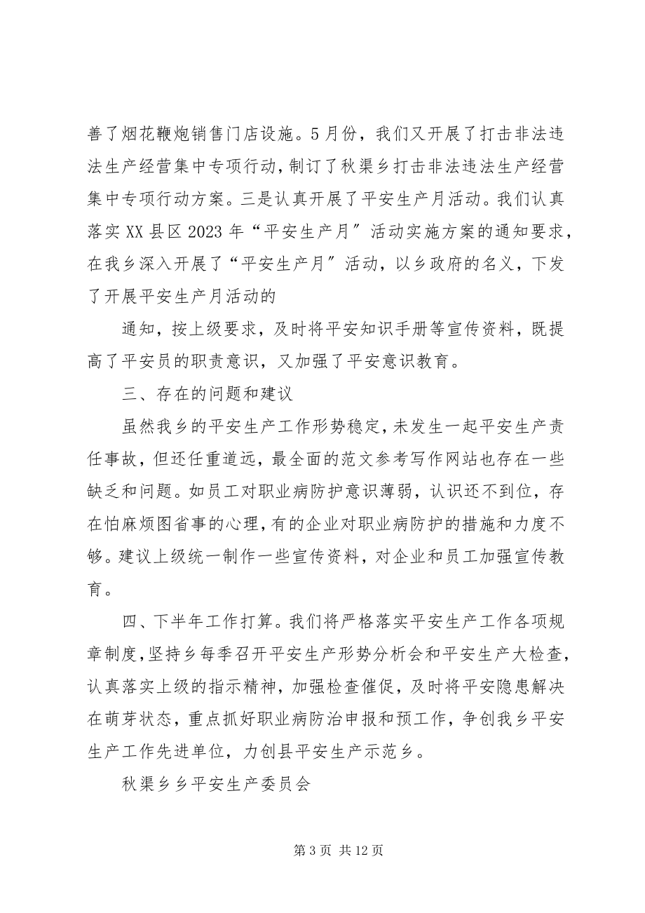 2023年乡镇安全生产上半年总结.docx_第3页