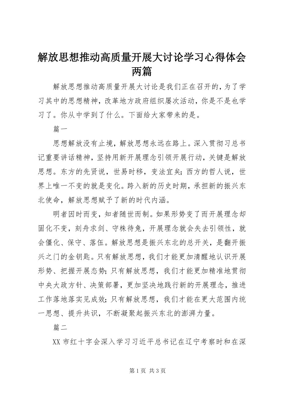 2023年解放思想推动高质量发展大讨论学习心得体会两篇.docx_第1页