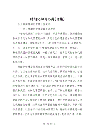 2023年精细化学习心得[合集.docx