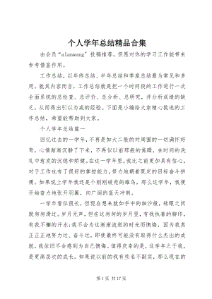 2023年个人学年总结精品合集.docx