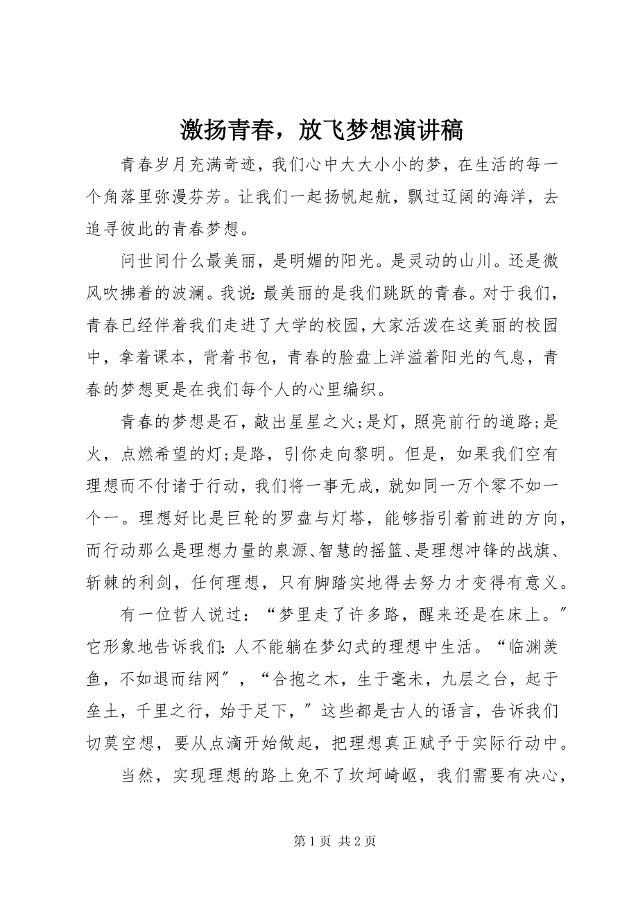 2023年激扬青春放飞梦想演讲稿.docx_第1页