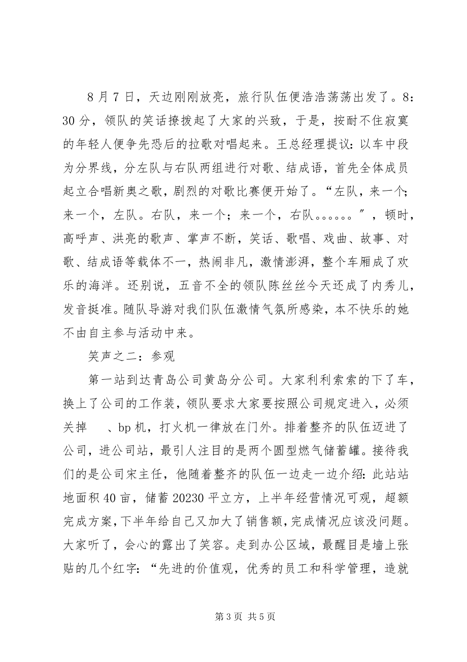 2023年公司组织旅游活动汇报总结.docx_第3页