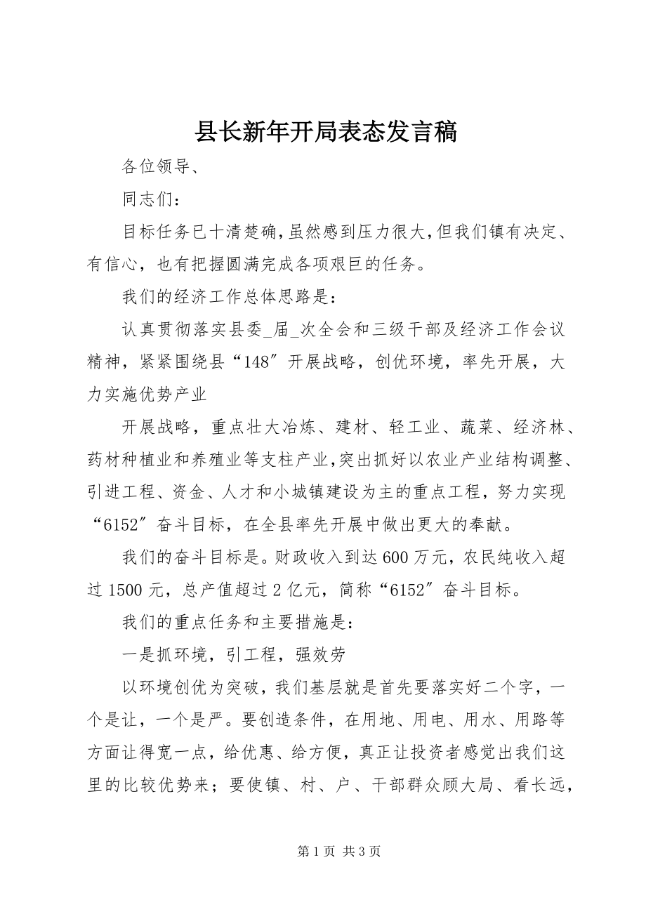 2023年县长新年开局表态讲话稿.docx_第1页