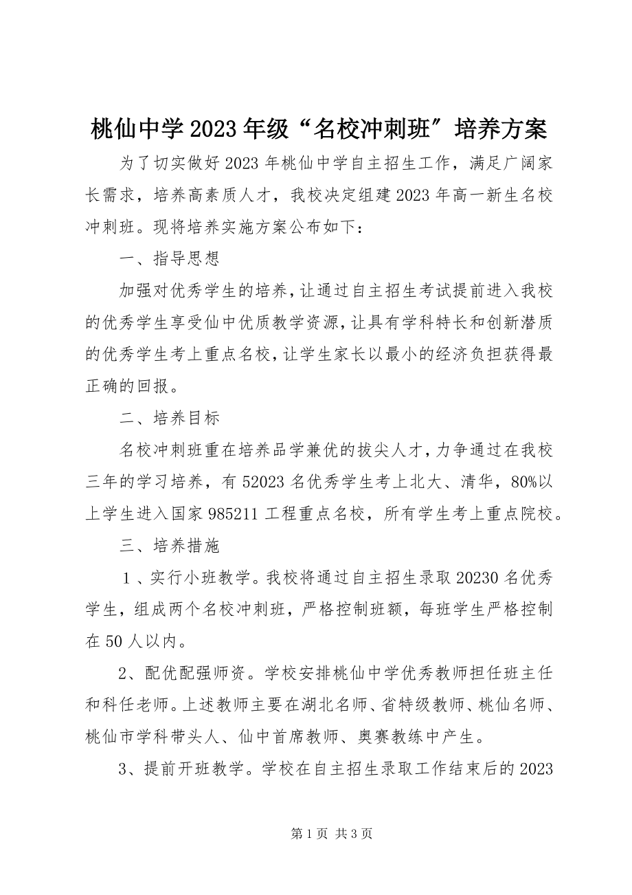 2023年桃仙中学级“名校冲刺班”培养方案.docx_第1页