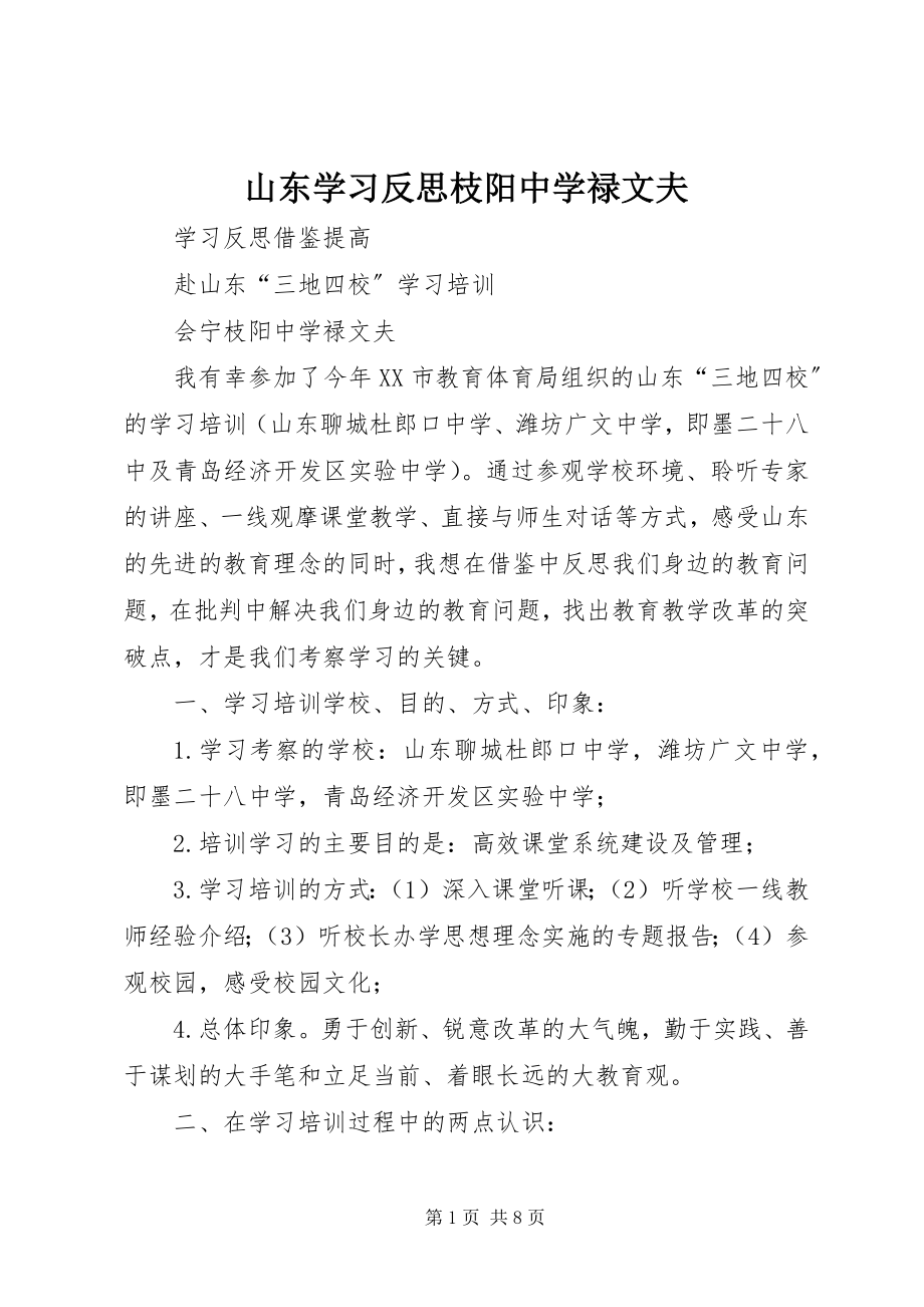 2023年山东学习反思枝阳中学禄文夫.docx_第1页