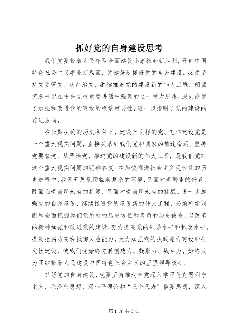 2023年抓好党的自身建设思考.docx_第1页