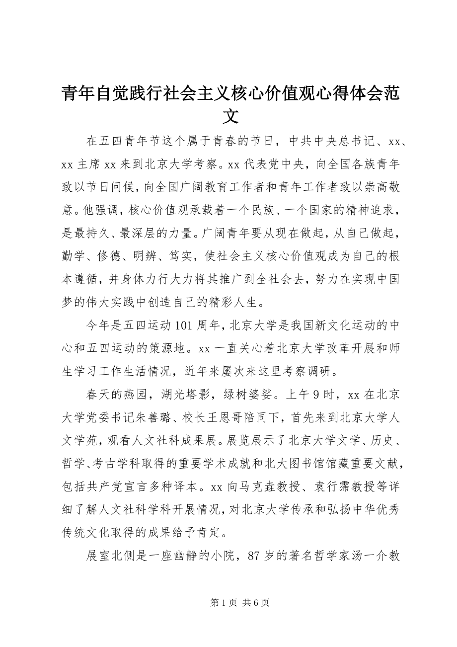 2023年青年自觉践行社会主义核心价值观心得体会2.docx_第1页