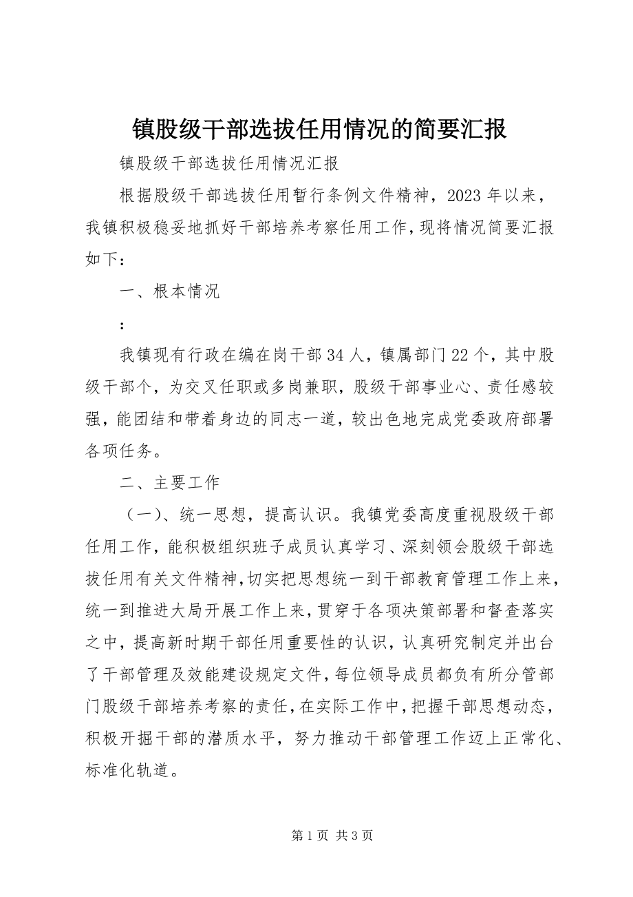 2023年镇股级干部选拔任用情况的简要汇报.docx_第1页