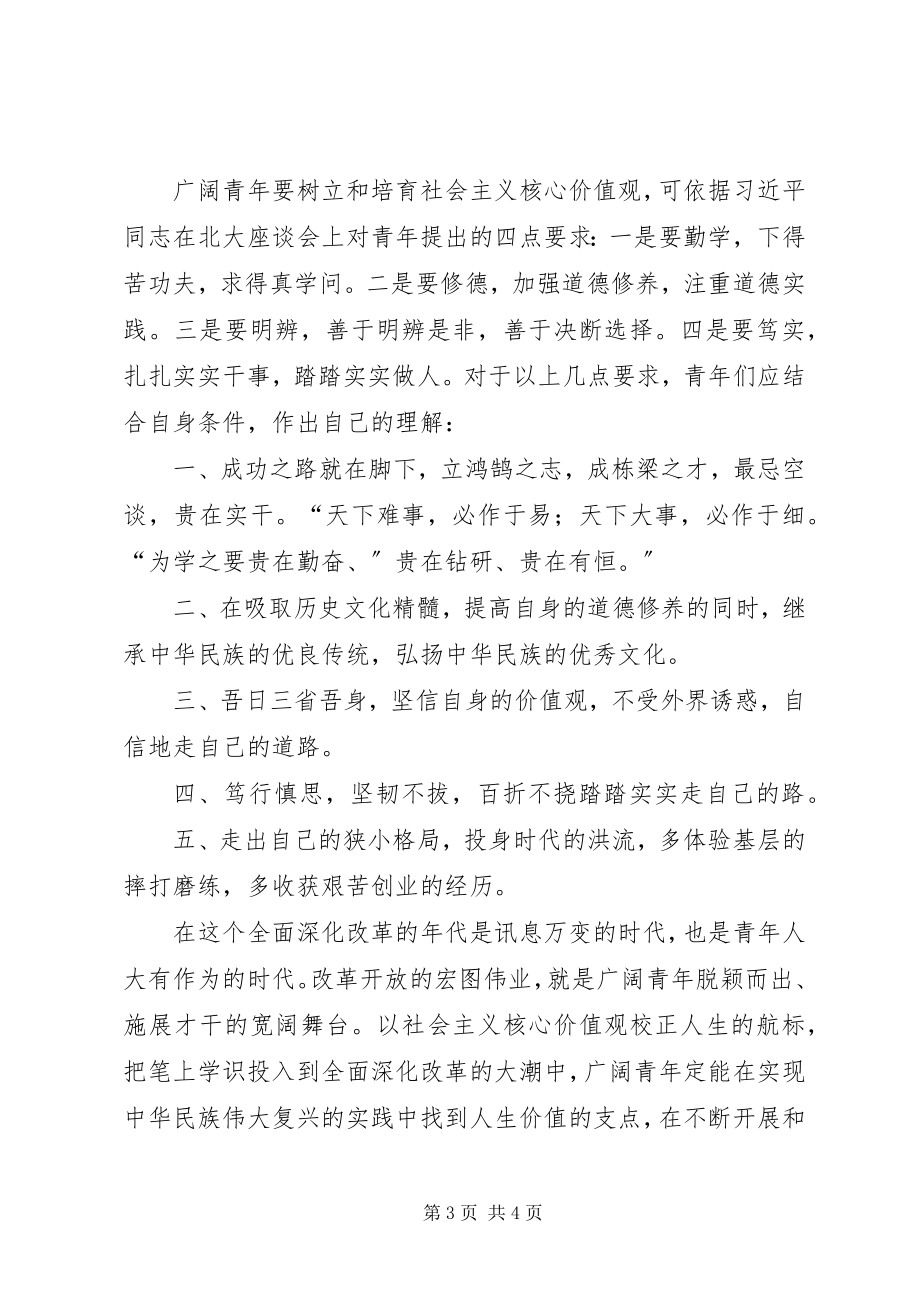 2023年立鸿鹄之志以社会主义核心价值观为支点.docx_第3页