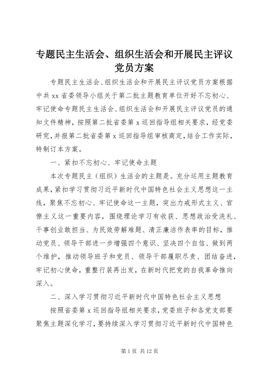 2023年专题民主生活会组织生活会和开展民主评议党员方案.docx_第1页