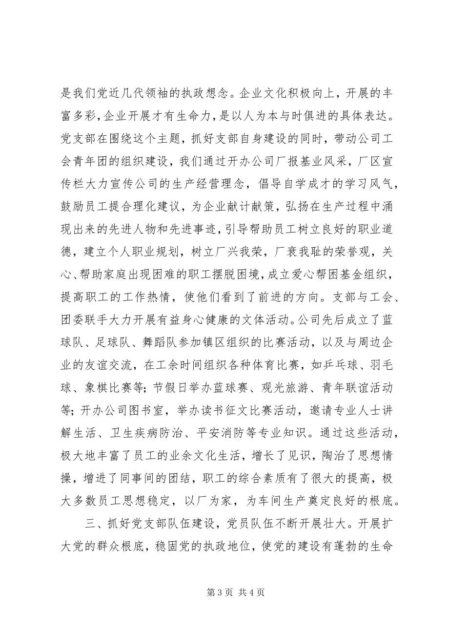 2023年支部书记工作经验介绍.docx_第3页