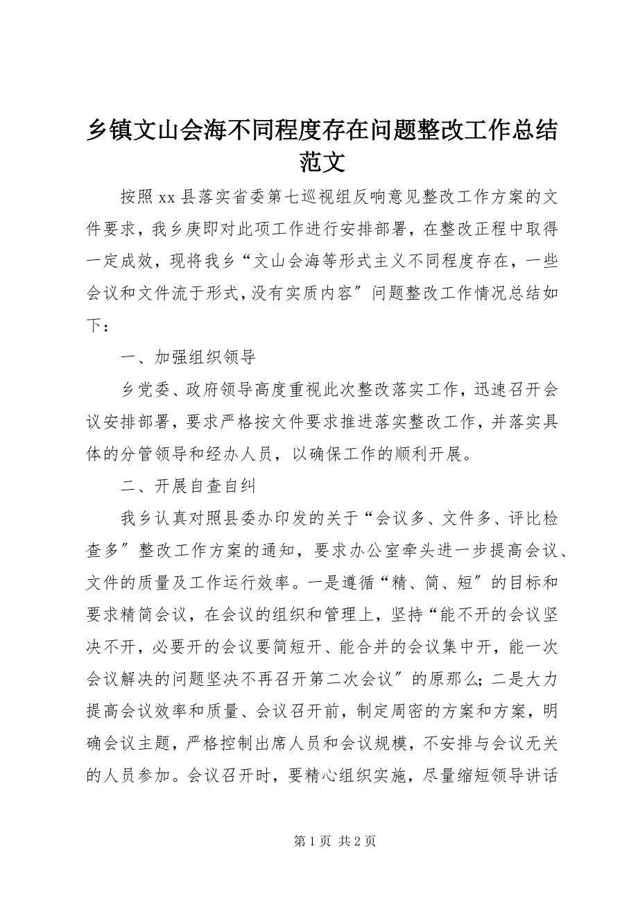 2023年乡镇文山会海不同程度存在问题整改工作总结.docx_第1页