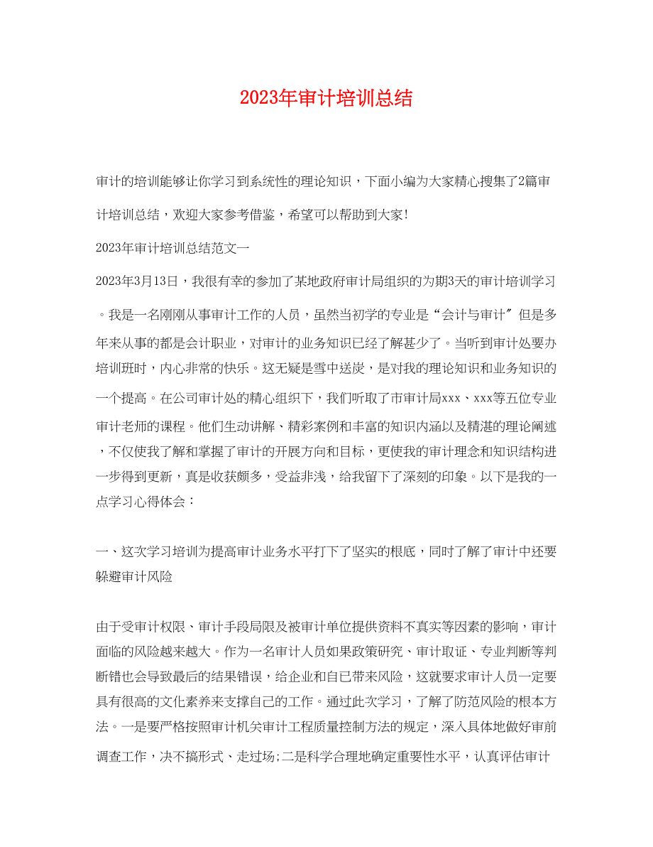 2023年审计培训总结.docx_第1页