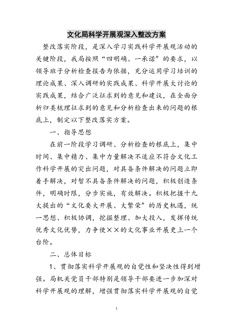 2023年文化局科学发展观深入整改方案范文.doc_第1页