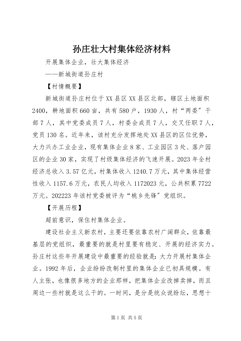 2023年孙庄壮大村集体经济材料.docx_第1页