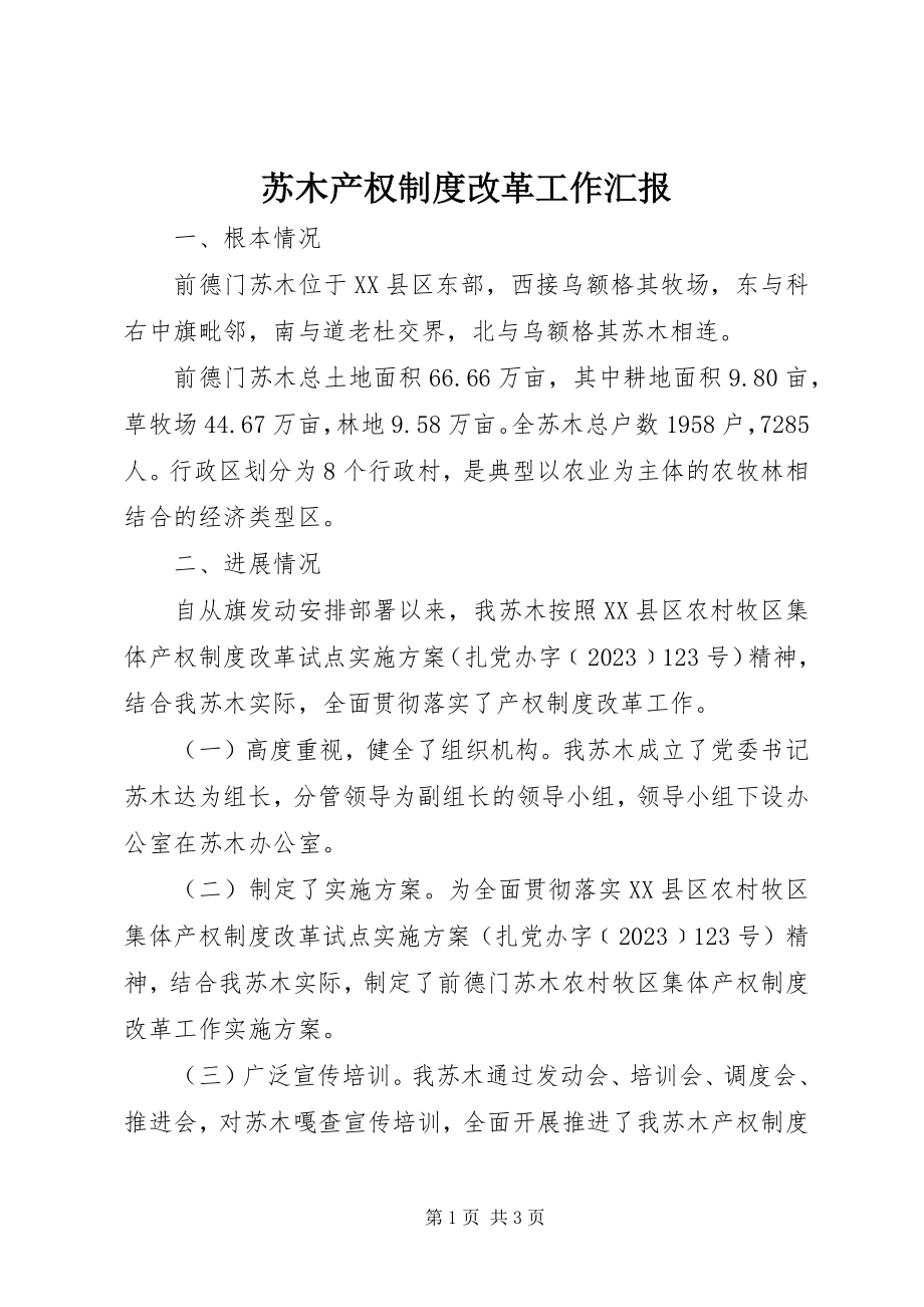 2023年苏木产权制度改革工作汇报.docx_第1页