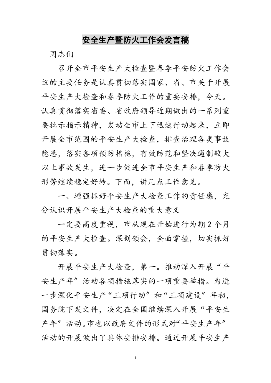 2023年安全生产暨防火工作会发言稿范文.doc_第1页