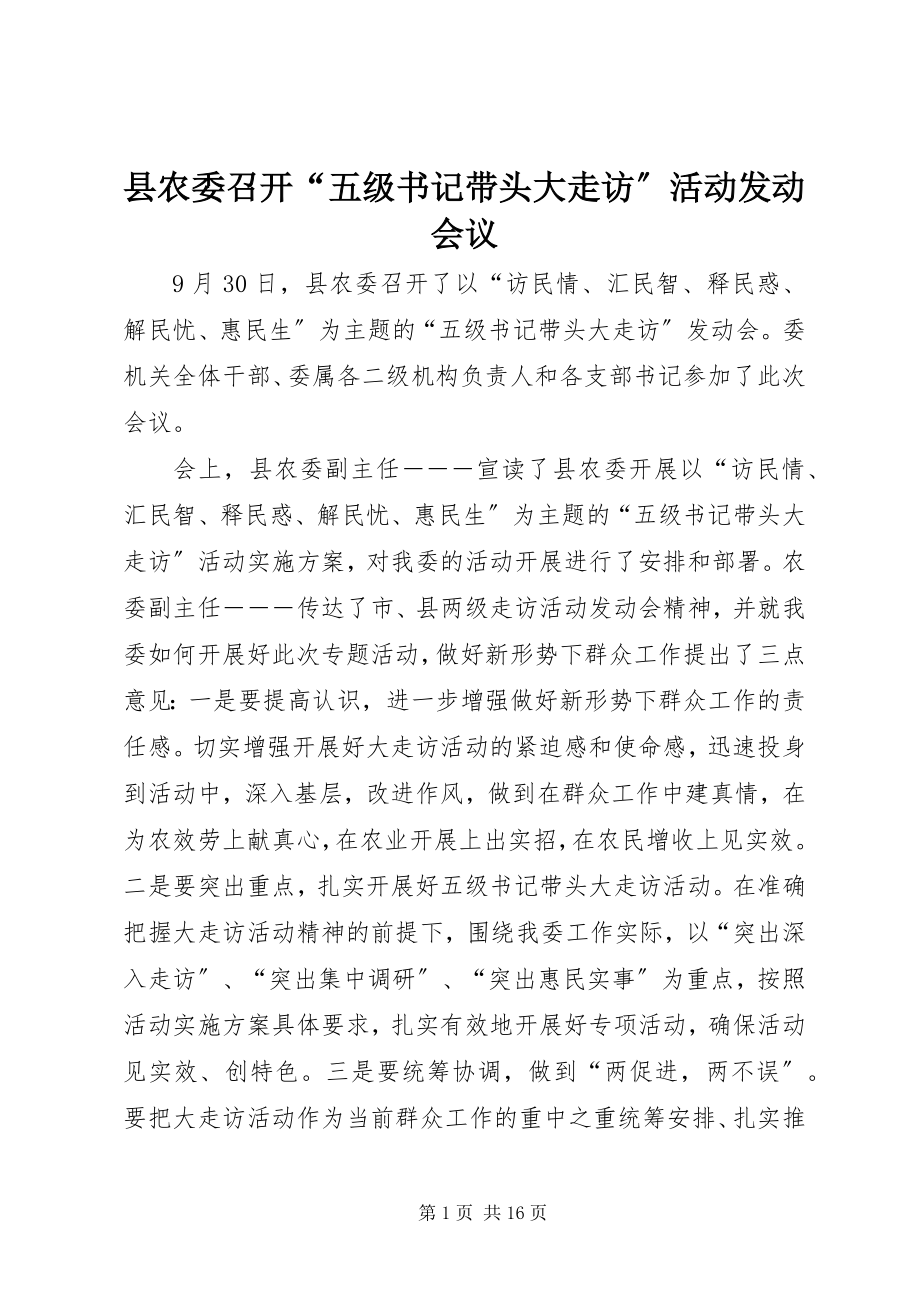 2023年县农委召开“五级书记带头大走访”活动动员会议.docx_第1页