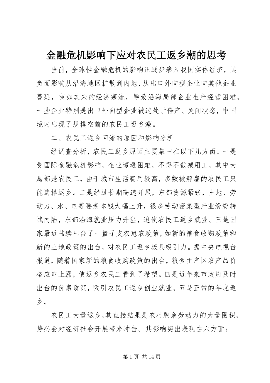 2023年金融危机影响下应对农民工返乡潮的思考.docx_第1页