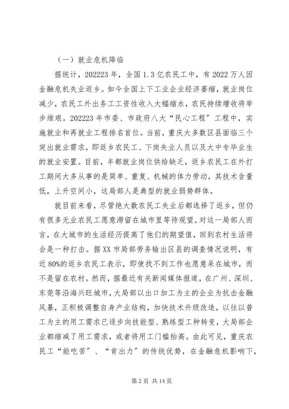 2023年金融危机影响下应对农民工返乡潮的思考.docx_第2页