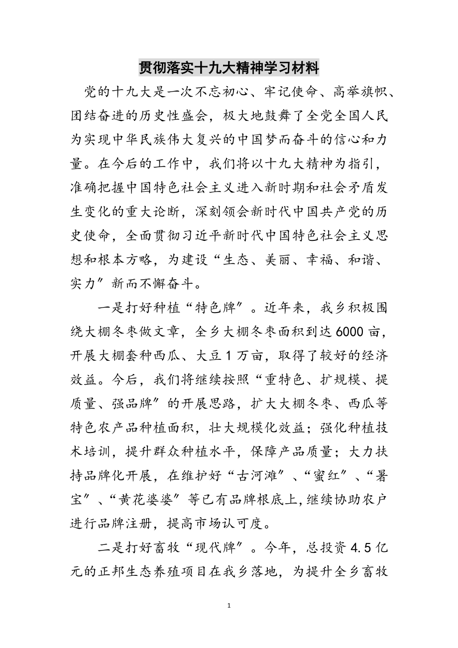 2023年贯彻落实十九大精神学习材料范文.doc_第1页