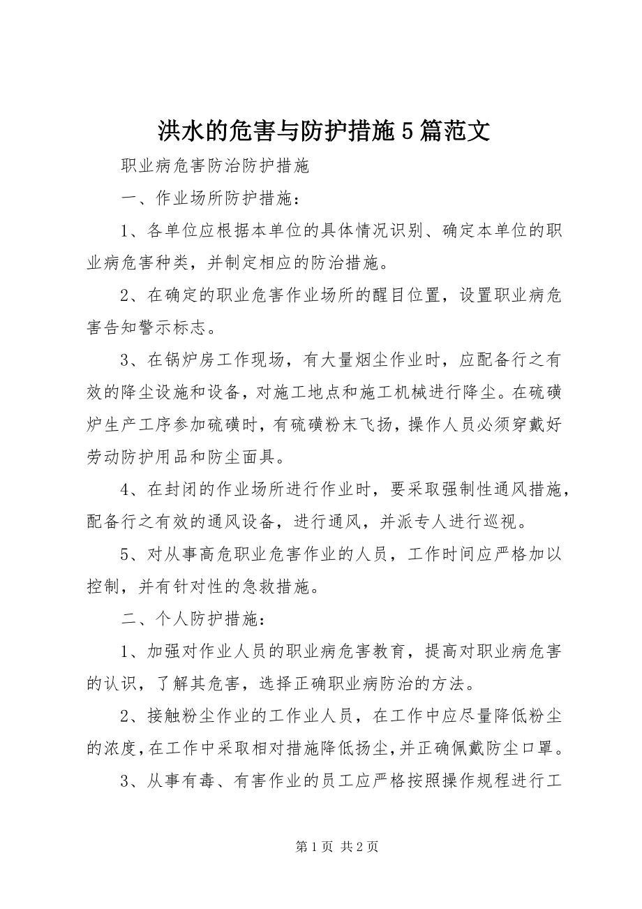 2023年洪水的危害与防护措施5篇.docx_第1页