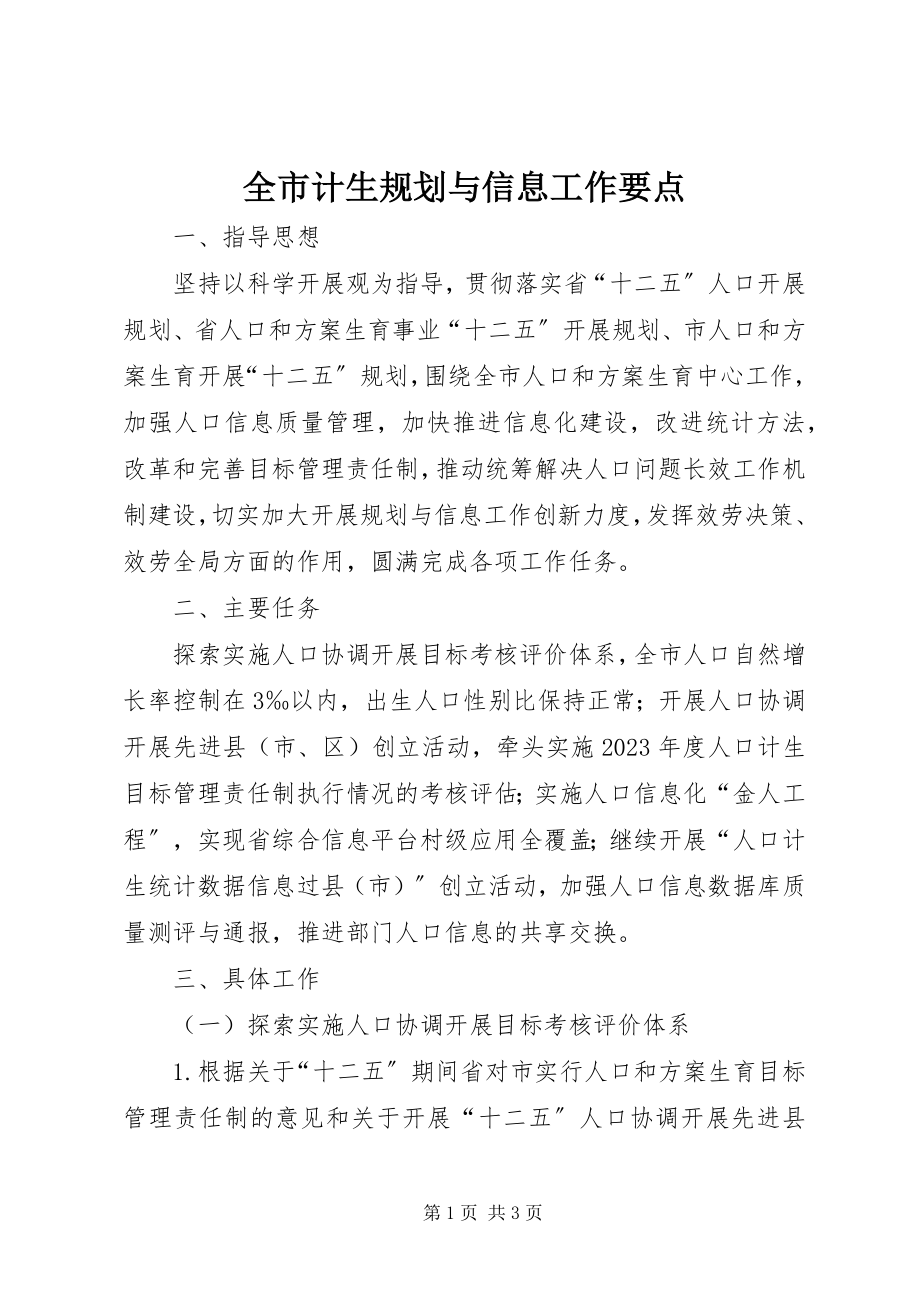 2023年全市计生规划与信息工作要点.docx_第1页