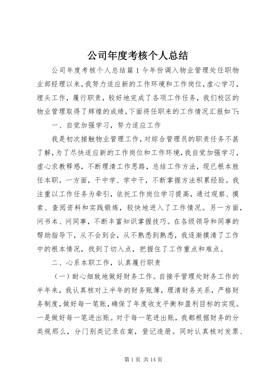 2023年公司年度考核个人总结.docx_第1页