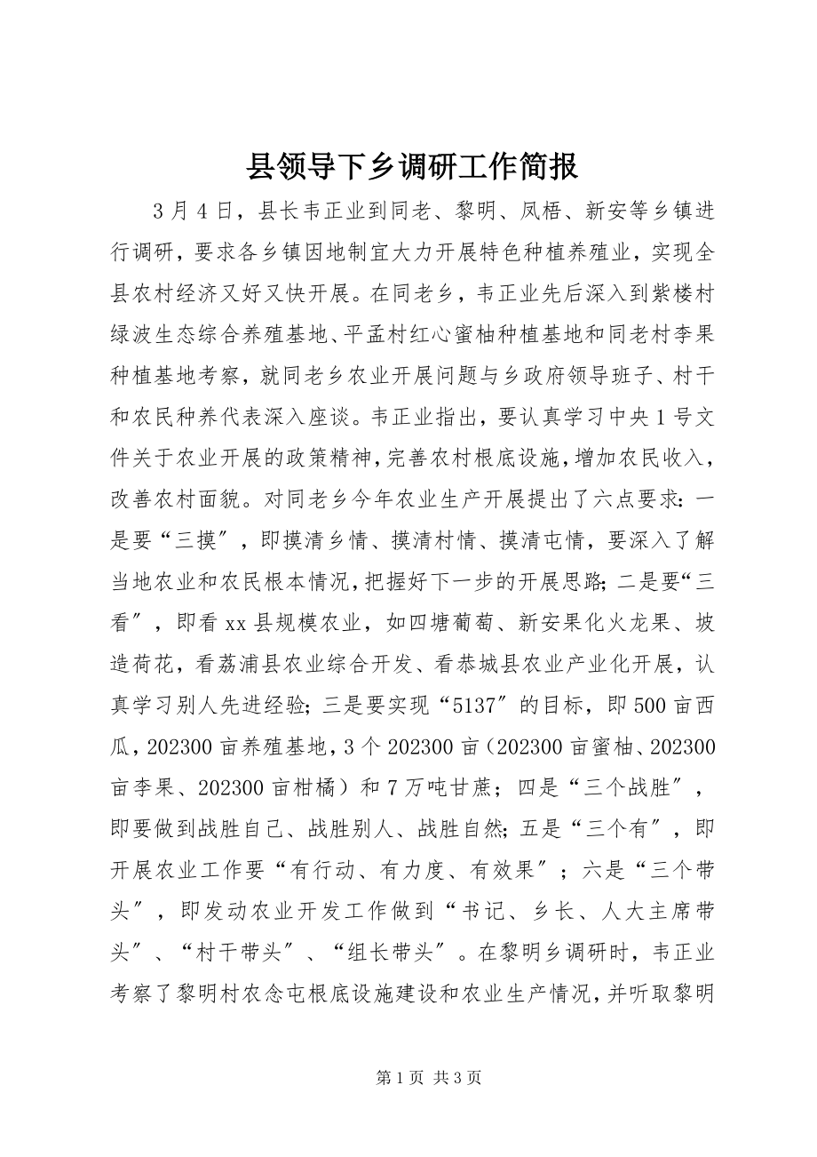 2023年县领导下乡调研工作简报.docx_第1页