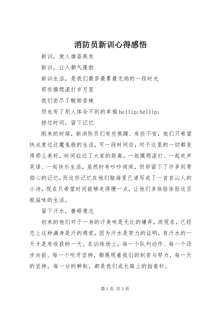 2023年消防员新训心得感悟.docx_第1页