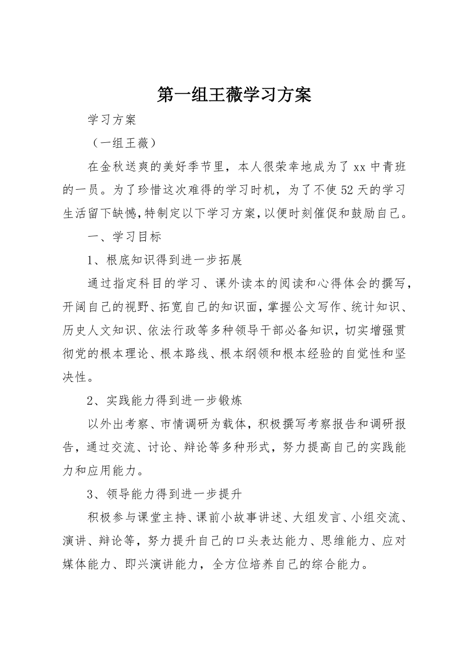 2023年第一组王薇学习计划新编.docx_第1页