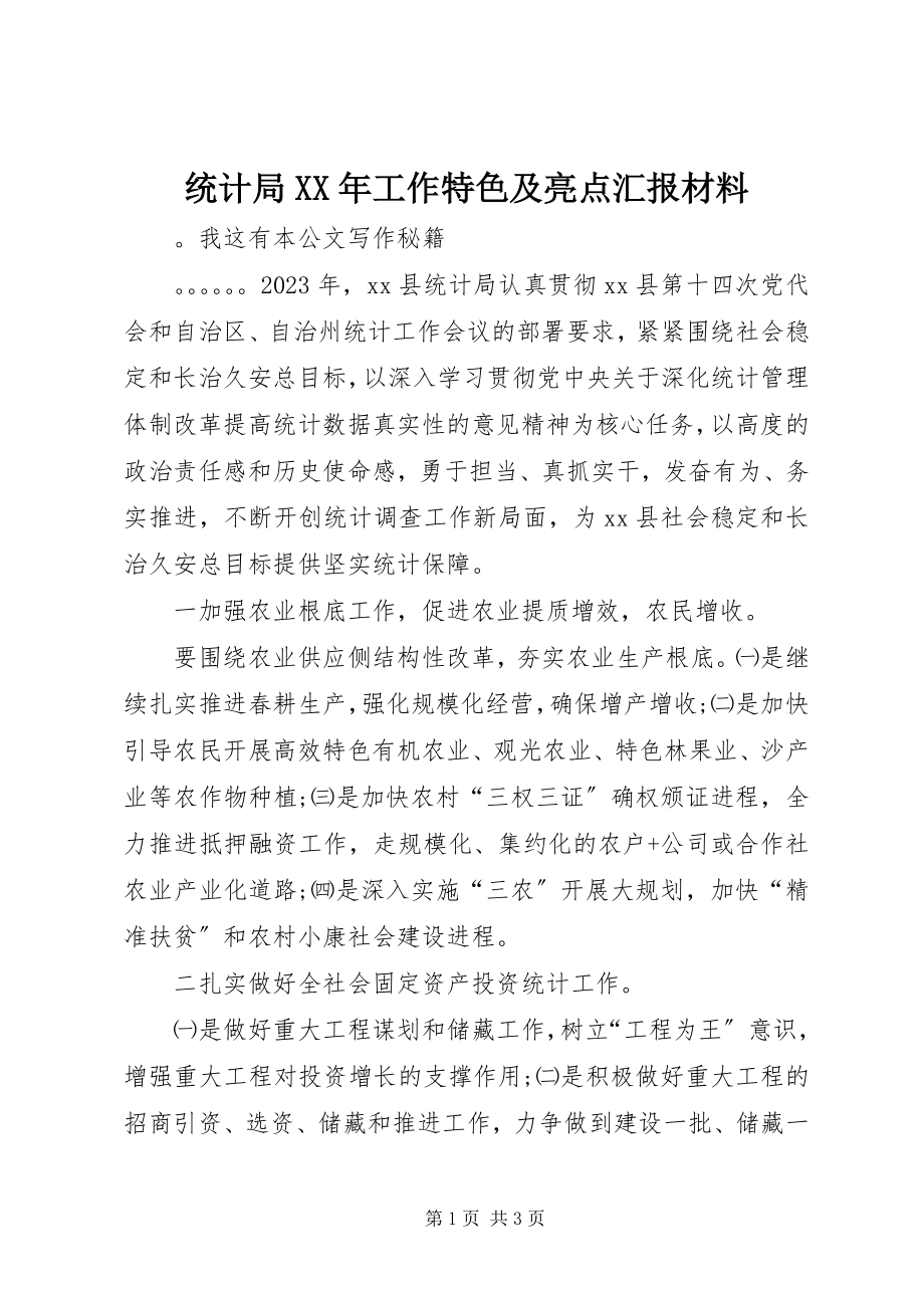 2023年统计局工作特色及亮点汇报材料.docx_第1页