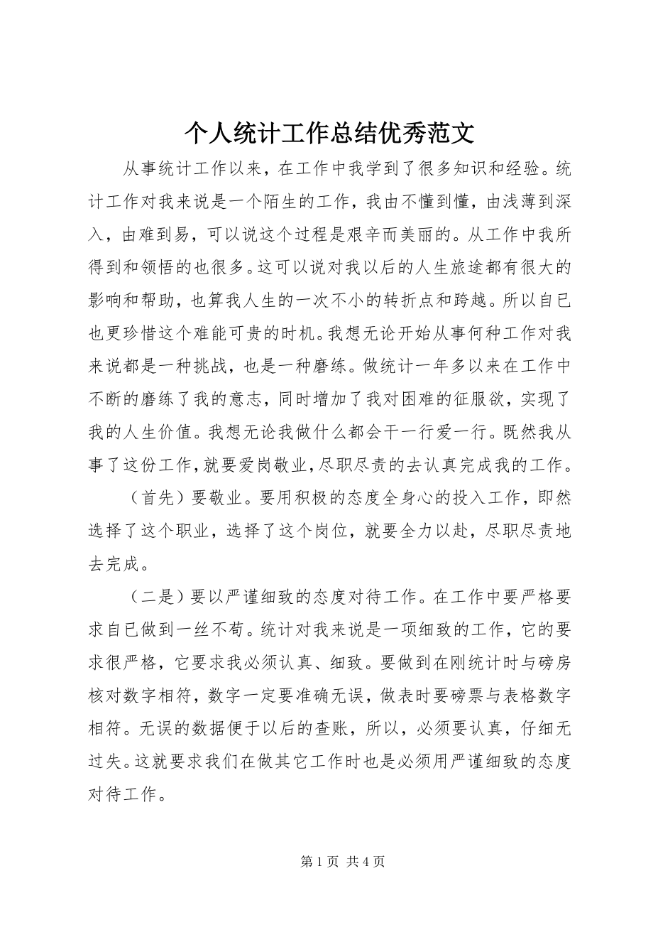 2023年个人统计工作总结优秀.docx_第1页