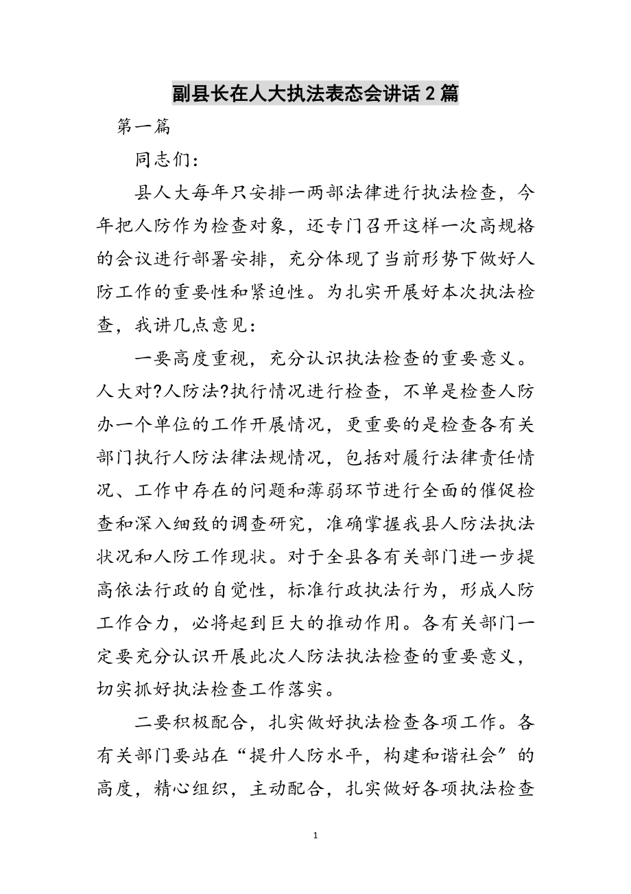 2023年副县长在人大执法表态会讲话2篇范文.doc_第1页