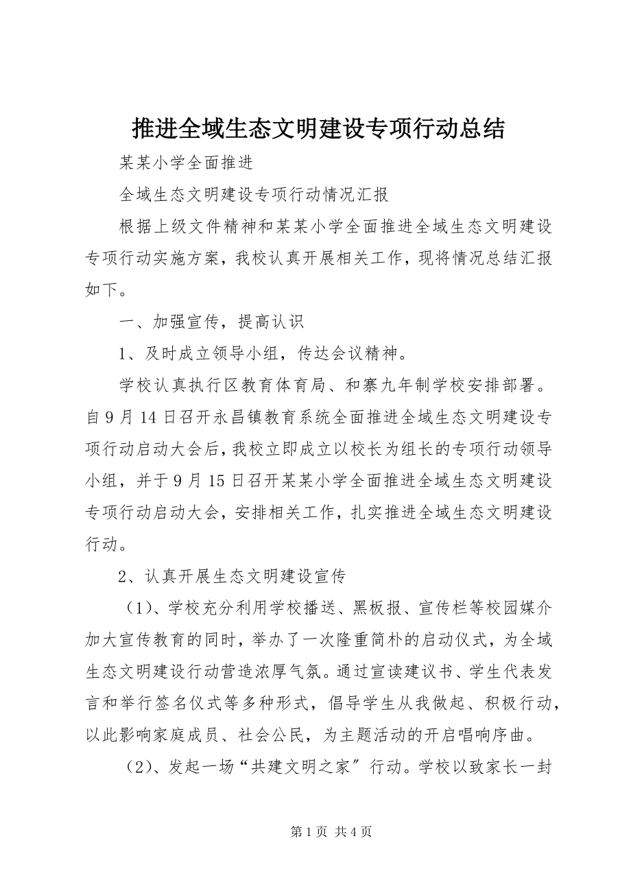 2023年推进全域生态文明建设专项行动总结.docx_第1页