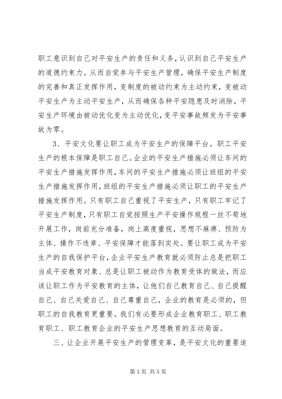 2023年论安全文化的核心.docx_第3页