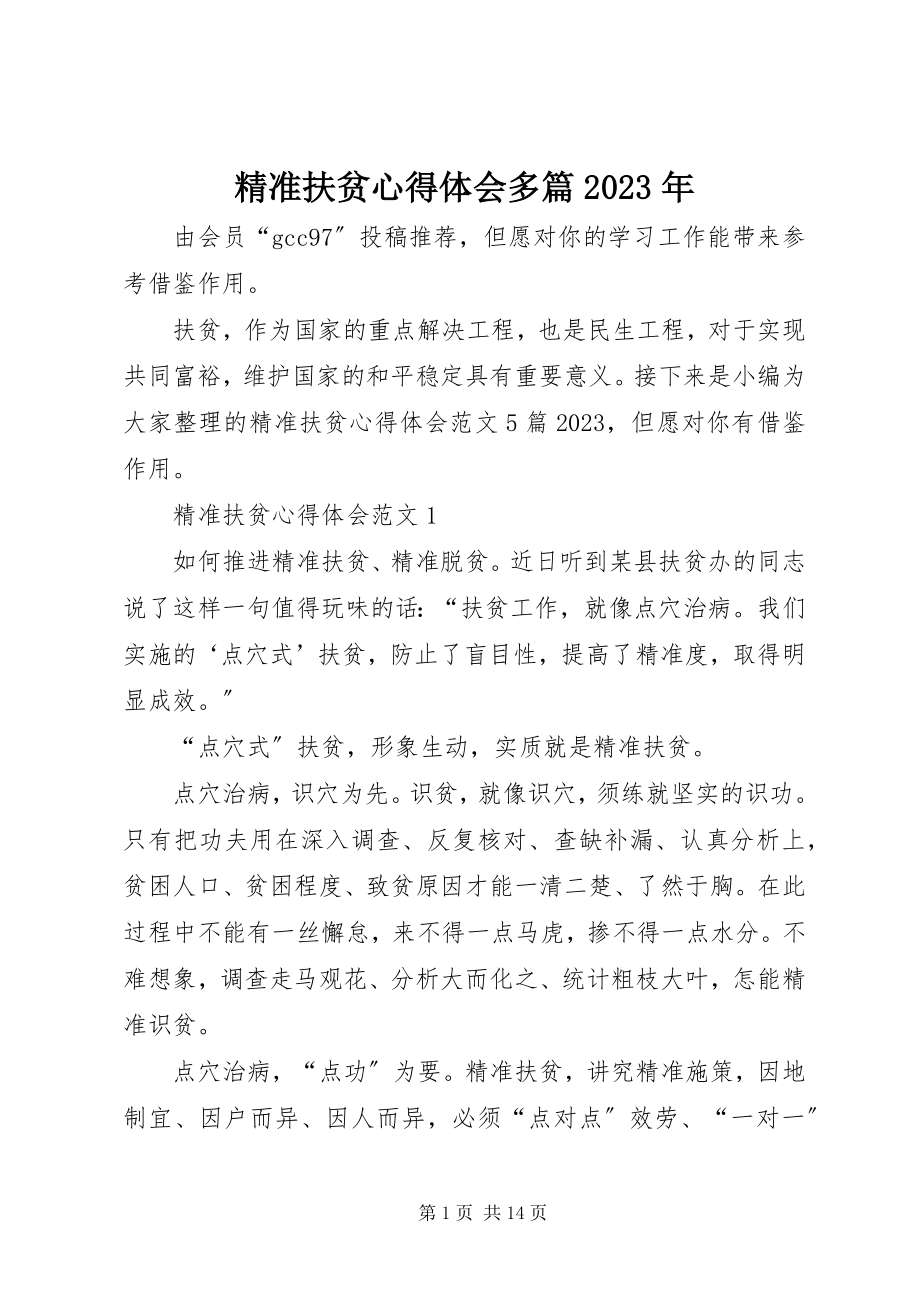 2023年精准扶贫心得体会多篇.docx_第1页