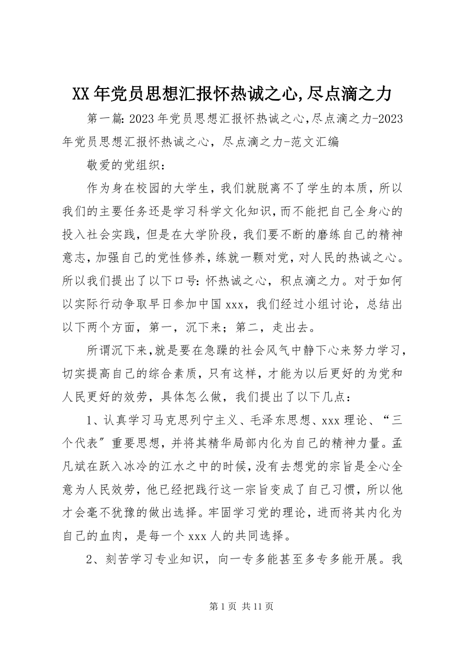 2023年党员思想汇报《怀赤诚之心尽点滴之力》.docx_第1页