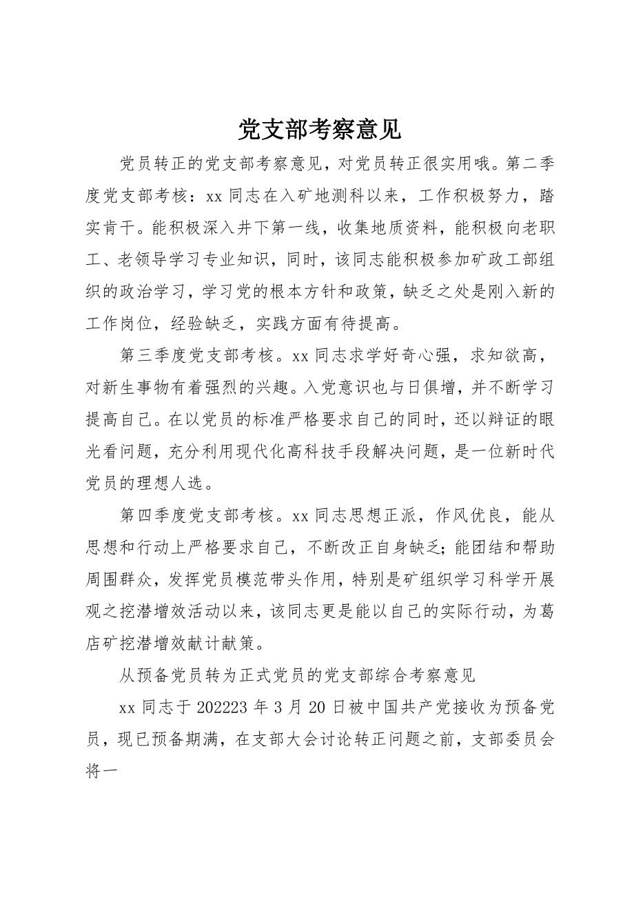 2023年党支部考察意见.docx_第1页